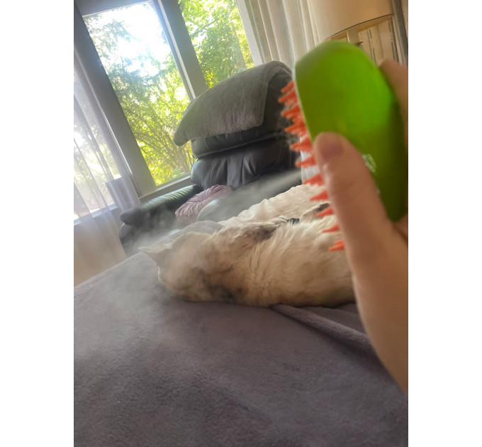 Массажная паровая щетка для животных Pet Brush с USB — 3в1 уход за шерстью
